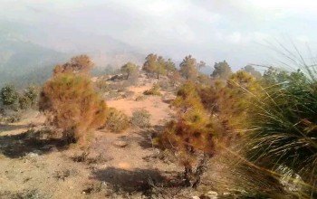 बैतडीको मेलौलीमा औद्योगिक ग्राम स्थापनाको काम अघि बढेन  